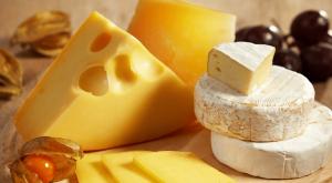 Организация производства сыра (на примере твердого сорта) — перспективный и постоянно совершенствующийся вид бизнеса Как заняться бизнесом изготовления сыра