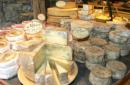 Изготовление сыра в домашних условиях как бизнес Сырный бизнес